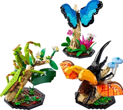 Изображение LEGO Ideas The Insect Collection 21342