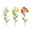 Изображение Mākslīgie ziedi 4Living Alstremērijas 62cm 3-krāsas