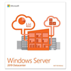 Picture of Microsoft Windows Server 2019 Datacenter 1 license(s)