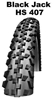 Picture of Padanga 24" Schwalbe R Black Jack s/s 47-355