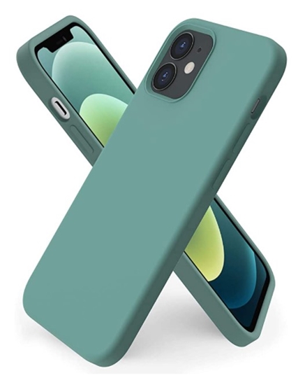 Изображение Riff Plāns & Mīksts silikona aizmugures maks ar mīkstu iekšpusi priekš Apple iPhone 11 Pro Pine Green