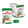 Изображение ROYAL CANIN Mini Adult - wet dog food - 12 x 85g