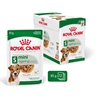 Изображение ROYAL CANIN Mini Ageing 12+ - wet dog food - 12 x 85g