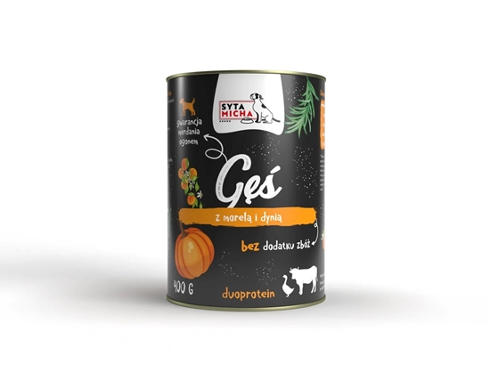 Picture of SYTA MICHA Goose with beef, apricot and pumpkin - wet dog food - 400g