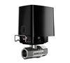 Picture of SMART VALVE 1"/WATERSTOP BLACK 52266 AJAX