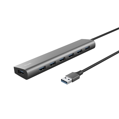 Picture of Trust Halyx USB 3.2 Gen 1 (3.1 Gen 1) Type-A 5000 Mbit/s Silver