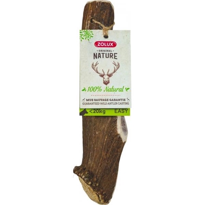 Picture of ZOLUX Deer antlers Easy >20kg - chew for dog - 140g