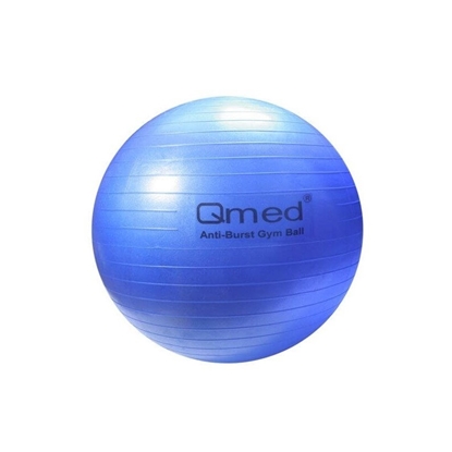 Picture of ABS rehabilitation ball with pump 75cm