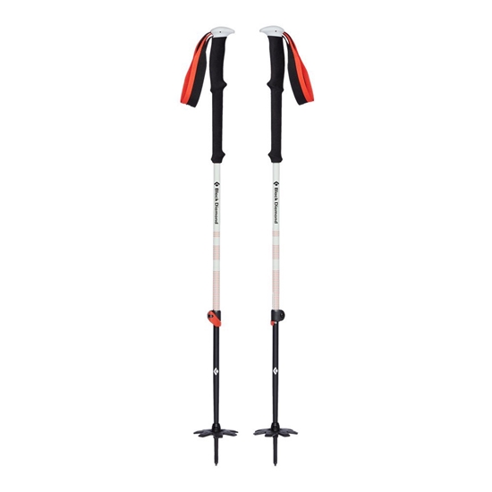 Picture of Black Diamond Kije Skitourowe Black Diamond Expedition 2 Ski Poles 145 cm