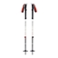 Picture of Black Diamond Kije Skitourowe Black Diamond Expedition 2 Ski Poles 145 cm