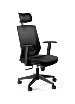 Изображение Ergonomic office chair ESTA black