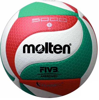 Attēls no Kamuolys tinkl competition MOLTEN V5M5000-X FIVB