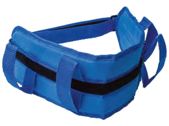 Picture of Patient transfer belt