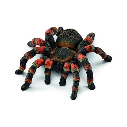 Attēls no SCHLEICH WILD LIFE Tarantulas