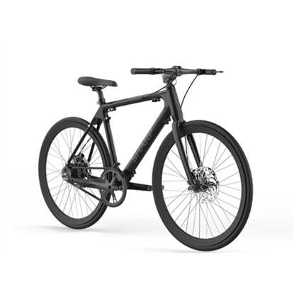 Picture of Sharp Hybrid E-Bike | 250 W | 21 " | 24 month(s) | Black