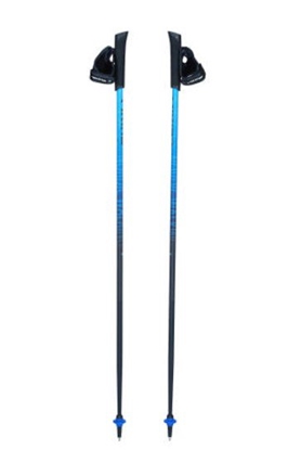 Picture of Viking Kije Nordic Walking Pro-Trainer 110 cm czarno-niebieskie (650/20/7879)