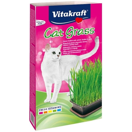 Picture of VITAKRAFT Cat Grass - Kit for cats - 120 g