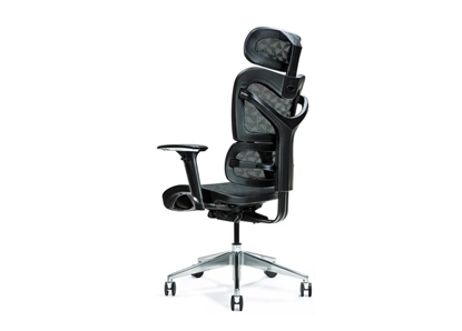 Attēls no Ergonomic office chair ERGO 600 black