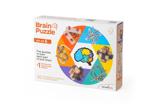 Picture of Recent Toys RECENT TOYS Brainteaser Brain puzzle set