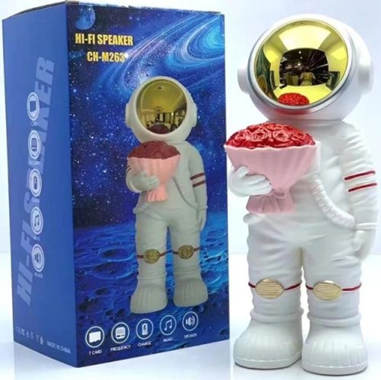 Picture of Blackmoon CH-M263 ASTRONAUT with bluetooth speaker