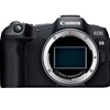 Picture of Canon EOS R8