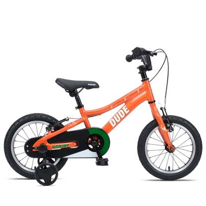 Изображение Bērnu velosipēds GoKidy 14 Dude (DUD.1401) oranžs