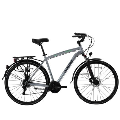 Изображение Tūrisma velosipēds Bisan 28 Comfortline VB (PR10010370) pelēks/zaļš (21)