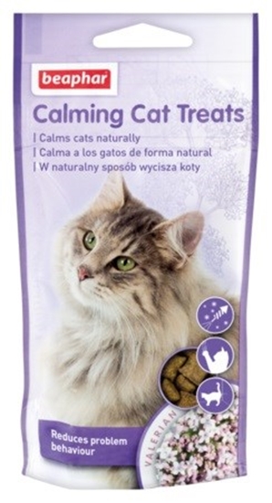 Picture of BEAPHAR Calming Cat Treats - cat treat - 35 g