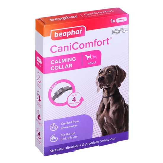 Picture of Beaphar collar with pheromones for dogs - 65 cm