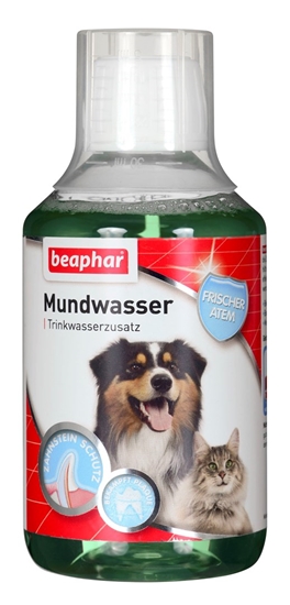 Picture of Beaphar Oral & Dental Care for dogs and cats 250 ml