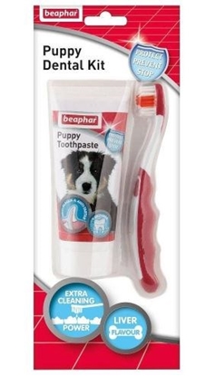 Изображение Beaphar toothpaste + toothbrush for puppies 50 g