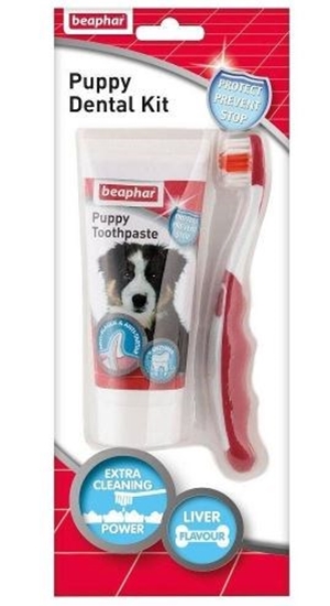 Изображение Beaphar toothpaste + toothbrush for puppies 50 g