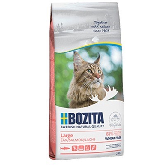 Picture of Bozita - Large wheat free Salmon 2 kg