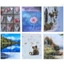 Picture of Fotoalbums 10x15/24 P4624