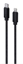 Picture of Kabelis Gembird USB Type-C Male - Lightning Male 1.8m Black