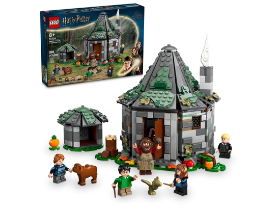 Picture of LEGO HARRY POTTER 76428 Hagrid's Hut - An Unexpected Visit