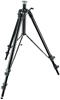 Изображение Manfrotto tripod 161MK2B, black