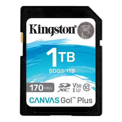 Picture of MEMORY SDXC 1TB UHS-I/SDG3/1TB KINGSTON