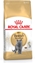 Изображение ROYAL CANIN British Shorthair FBN Adult - dry cat food - 400g