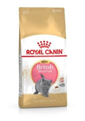 Attēls no ROYAL CANIN British Shorthair Kitten - dry cat food - 400g