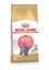 Изображение ROYAL CANIN British Shorthair Kitten - dry cat food - 400g