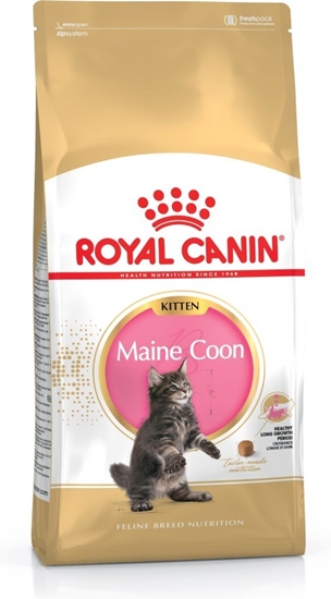 Изображение ROYAL CANIN Maine coon FBN Kitten - dry cat food - 400g