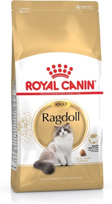 Attēls no ROYAL CANIN Ragdoll FBN Adult - dry cat food - 400g