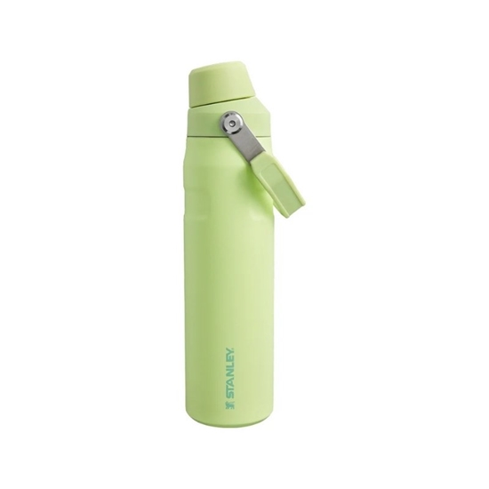 Изображение Stanley The Aerolight IceFlow Thermal Bottle 0.6L