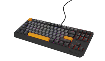 Изображение THOR 230 | Mechanical Gaming Keyboard | Wired | US | Anchor Gray Negative | USB Type-A | Outemu Red