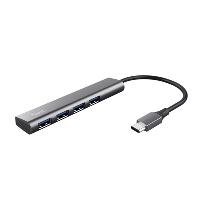 Picture of Trust Halyx USB 3.2 Gen 1 (3.1 Gen 1) Type-A 5 Mbit/s Grey