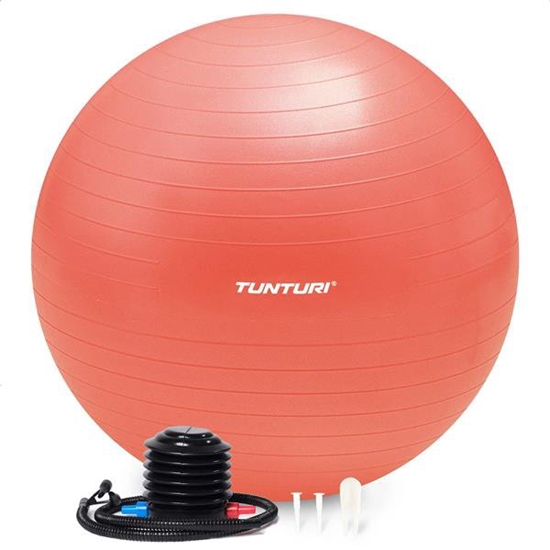 Picture of Tunturi Gymball Anti Burst Mankštos kamuolys su pompa 65cm, Rožinio aukso spalva