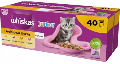 Attēls no WHISKAS Junior Poultry in jelly - wet cat food - 40 x 85g