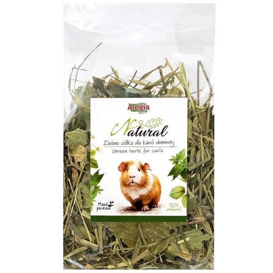 Изображение ALEGIA Green herbs for cavia - treat for domestic cavies - 100g