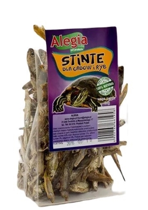 Attēls no ALEGIA Stinte - treat for fish and reptiles - 60g